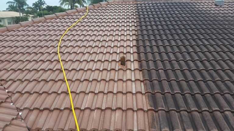 roof-cleaning